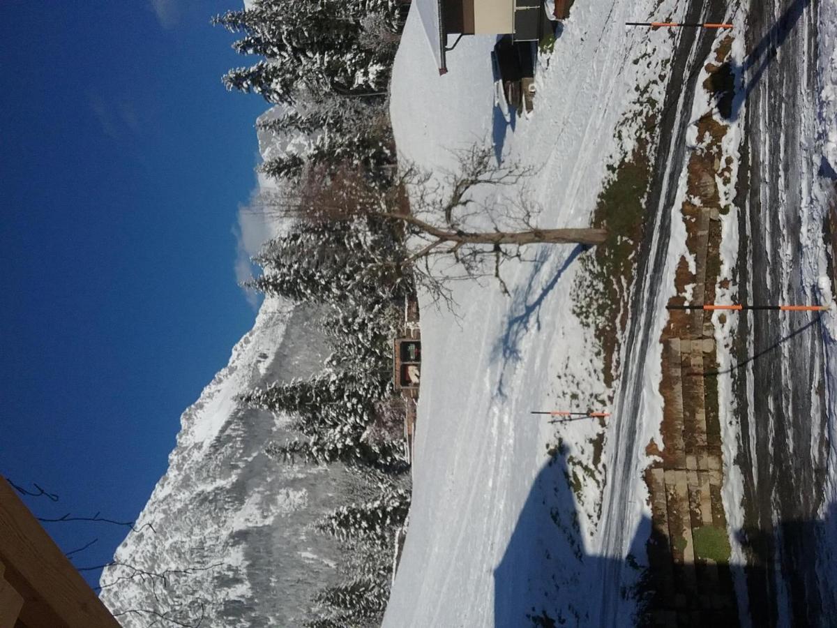 Bauernhof Vordergrub Apartment Scheffau am Wilden Kaiser Exterior photo